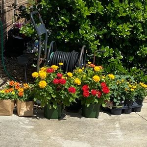 Meet your Posher, Diane